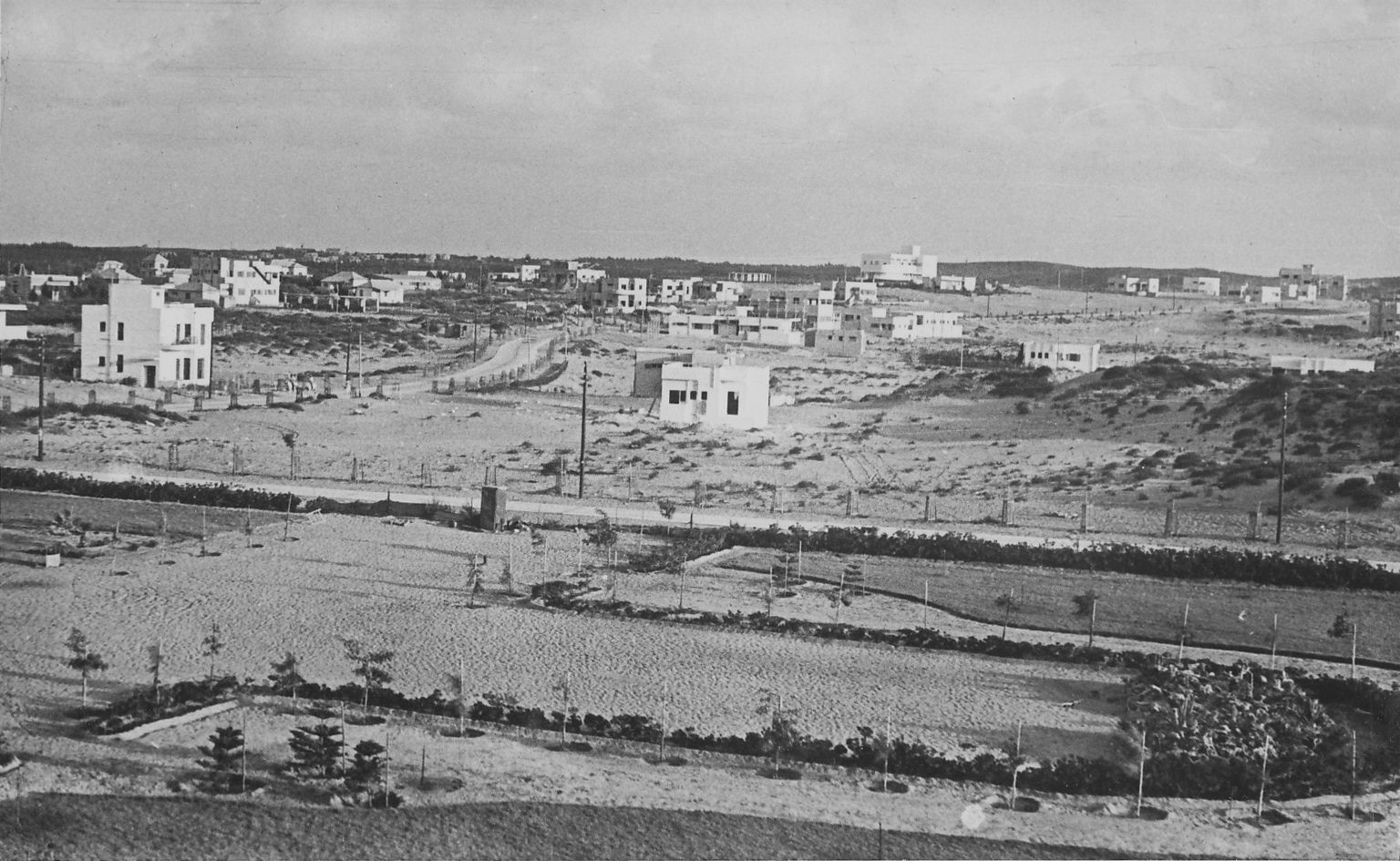 Why Is Netanya Called Netanya? The True Story Behind the City's Name