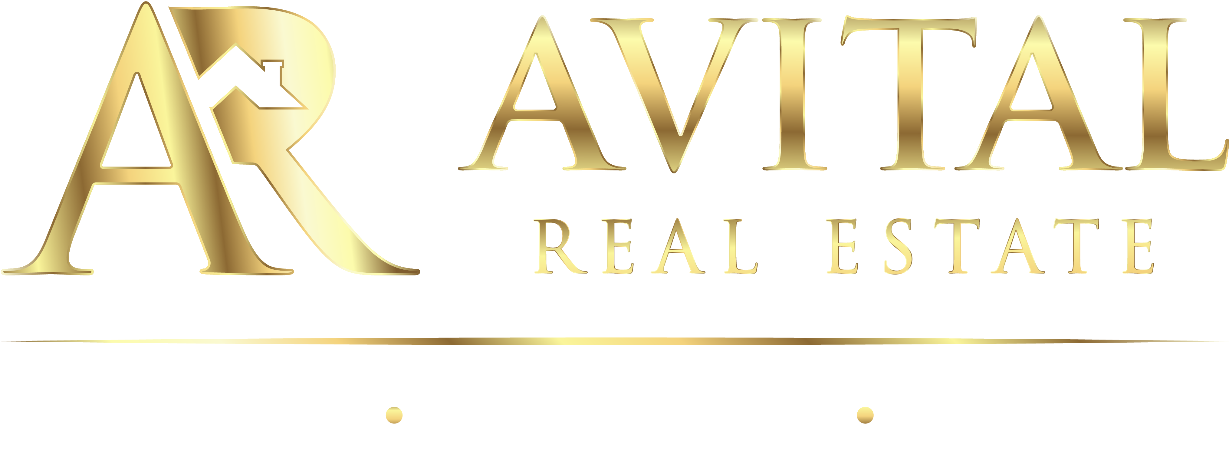 Netanya Properties Logo